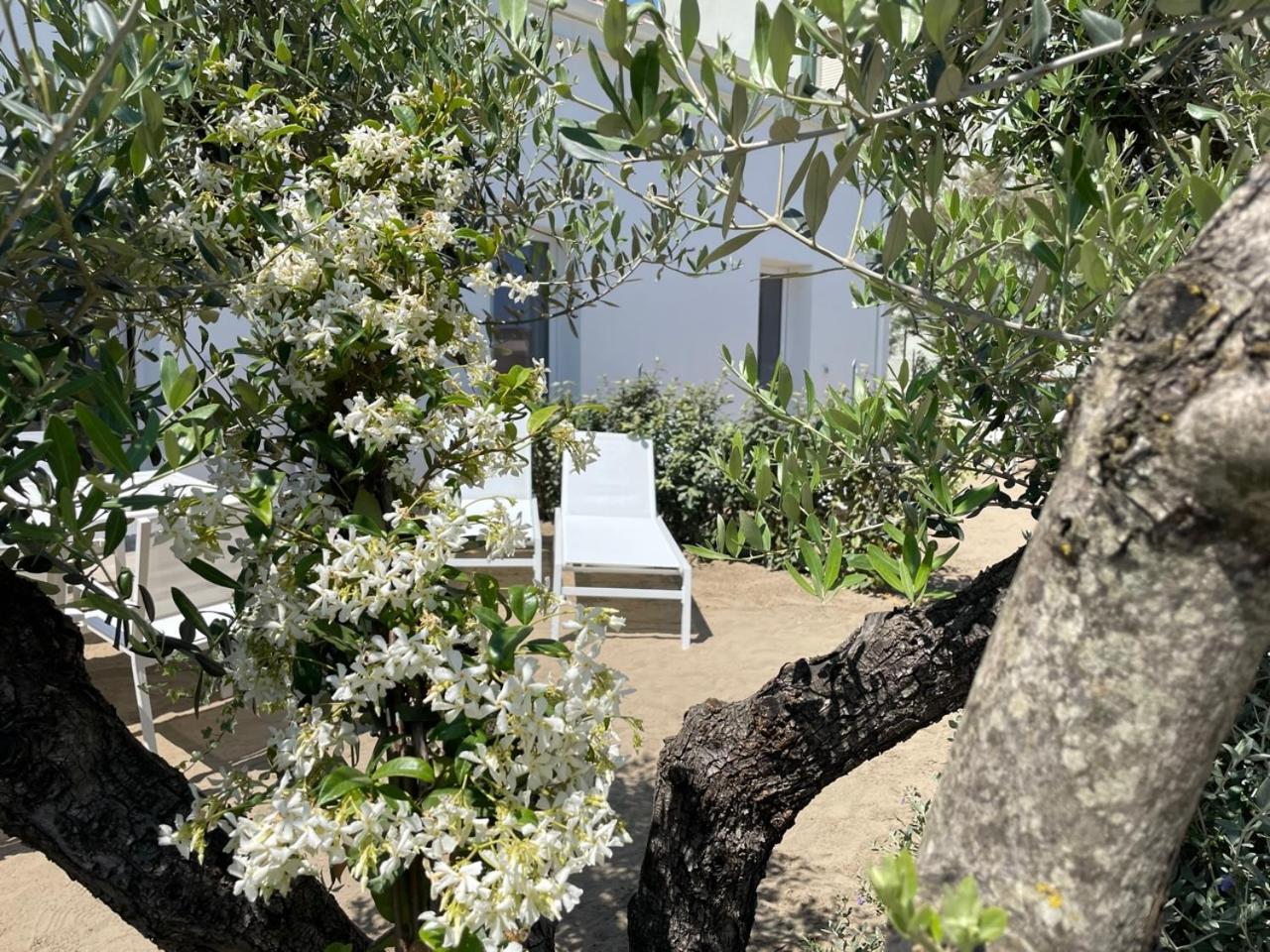 Villa Le Agavi Luxory Beach Surfhouse Bellaria-Igea Marina Exterior foto